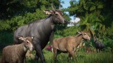 Joc Planet Zoo: Asia Animal Pack pentru PC Digital