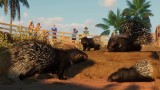 Joc Planet Zoo: The Arid Animal Pack pentru PC Digital