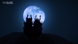 Joc Planet Coaster pentru PC Digital