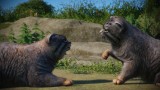 Joc Planet Zoo: Zookeepers Animal Pack pentru PC Digital