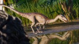 Joc Jurassic World Evolution 2: Park Managers’ Collection Pack pentru PC Digital
