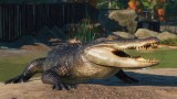 Joc Planet Zoo: North America Animal Pack pentru PC Digital