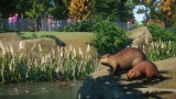 Joc Planet Zoo: North America Animal Pack pentru PC Digital