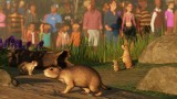 Joc Planet Zoo: North America Animal Pack pentru PC Digital