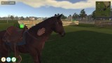 Joc Animal Trainer Simulator pentru PC Digital