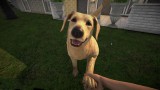 Joc Pets Hotel pentru PC Digital