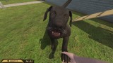 Joc Pets Hotel pentru PC Digital