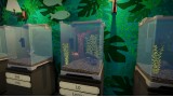Joc Pets Hotel pentru PC Digital