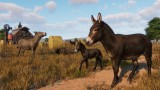 Joc Planet Zoo: Barnyard Animal Pack pentru PC Digital