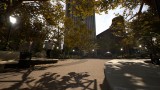 Joc Session: Skate Sim Supporter Edition pentru PC Digital
