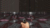 Joc Rise Of The Triad: Ludicrous Edition pentru PC Digital