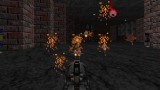 Joc Rise Of The Triad: Ludicrous Edition pentru PC Digital