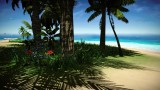 Joc Forgotten Seas pentru PC Digital