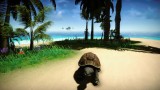 Joc Forgotten Seas pentru PC Digital