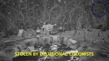 Joc Alienafterlife pentru PC Digital