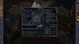 Joc Baldur's Gate: Enhanced Edition pentru PC Digital