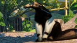 Joc Planet Zoo: South America Pack pentru PC Digital