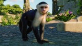 Joc Planet Zoo: South America Pack pentru PC Digital