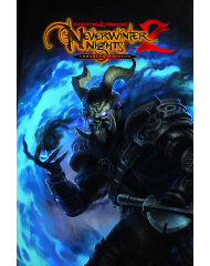 Dungeons & Dragons Neverwinter Nights 2 Enhance...