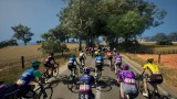Joc Pro Cycling Manager 25 pentru PC Digital