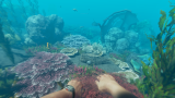 Joc Stranded Deep pentru PC Digital