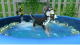 Joc Little Friends: Puppy Island pentru PC Digital