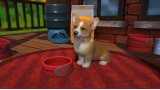Joc Little Friends: Puppy Island pentru PC Digital