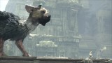 Joc The Last Guardian pentru PS4