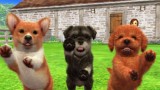 Joc Nintendogs And Cats 3d Toy Poodle pentru Nintendo 3DS