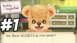 Joc Teddy Together pentru Nintendo 3DS