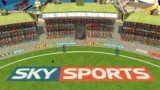 Joc Freddie Flintoffs Power Play Cricket pentru Nintendo DS