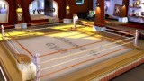 Joc Facebreaker K.o Party pentru Nintendo Wii