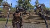 Joc The Elder Scrolls Online Morrowind pentru Xbox One