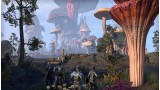 Joc The Elder Scrolls Online Morrowind pentru Xbox One
