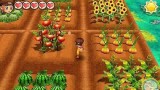 Joc Story Of Seasons Trio Of Towns pentru Nintendo 3DS