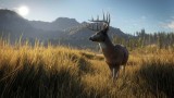 Joc Thehunter Call Of The Wild pentru PS4