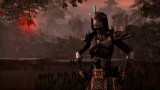 Joc The Elder Scrolls Online Gold Edition pentru PC