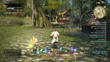 Joc Final Fantasy XIV A Realm Reborn pentru PC