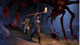 Joc The Elder Scrolls Online Summerset Collectors Edition pentru PS4
