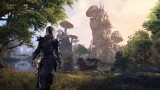 Joc The Elder Scrolls Online Summerset pentru Xbox One