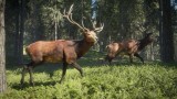 Joc Thehunter Call Of The Wild pentru Xbox One