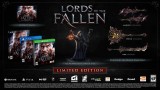 Joc Lords Of The Fallen Limited Edition pentru PS4