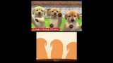 Joc Nintendogs And Cats 3d Golden Retriever Nintendo Select pentru Nintendo 3DS