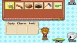 Joc Harvest Moon Grand Bazaar pentru Nintendo DS