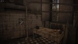 Joc The Town Of Light pentru PC