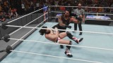 Joc Wwe 2k19 Collectors Edition pentru Xbox One