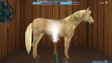 Joc My Riding Stables Life With Horses pentru PS4