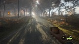 Joc Thehunter Call Of The Wild 2019 Edition pentru PC