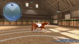 Joc My Riding Stables Life with Horses pentru Nintendo Switch