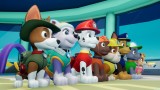 Joc Paw Patrol On A Roll pentru Xbox One